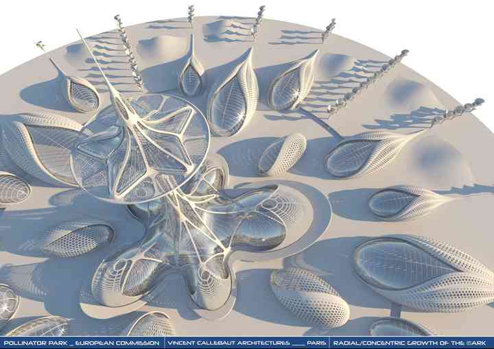 THE EUROPEAN COMMISSION'S POLLINATOR PARK polinnatorpark_pl055