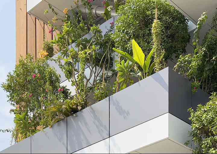 THE GREEN ARCH thegreenarch_pl027