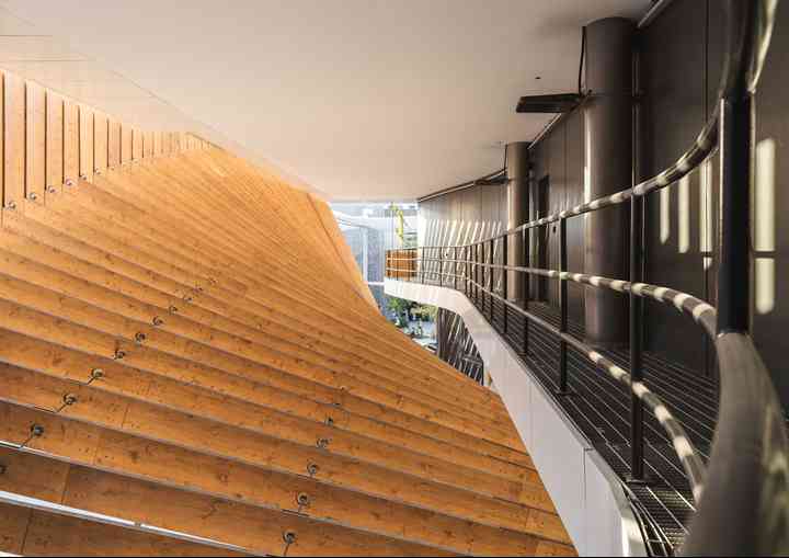 THE GREEN ARCH thegreenarch_pl054