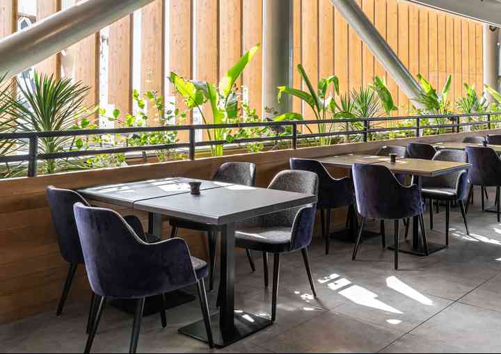 THE GREEN ARCH thegreenarch_pl075