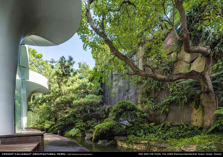 TAO ZHU YIN YUAN taoleedplatinum_pl024