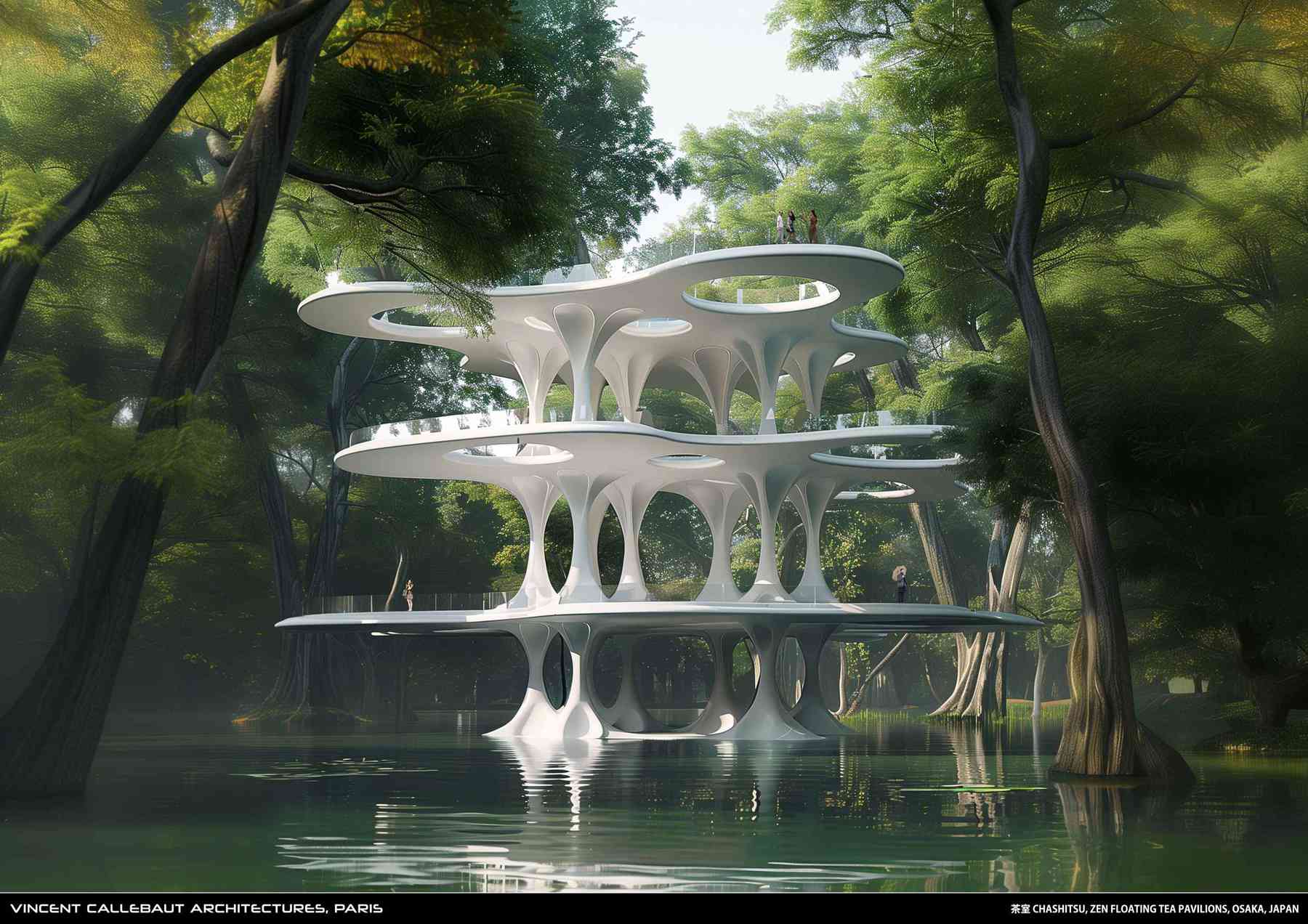 250126_chashitsu-chashitsu_pl004