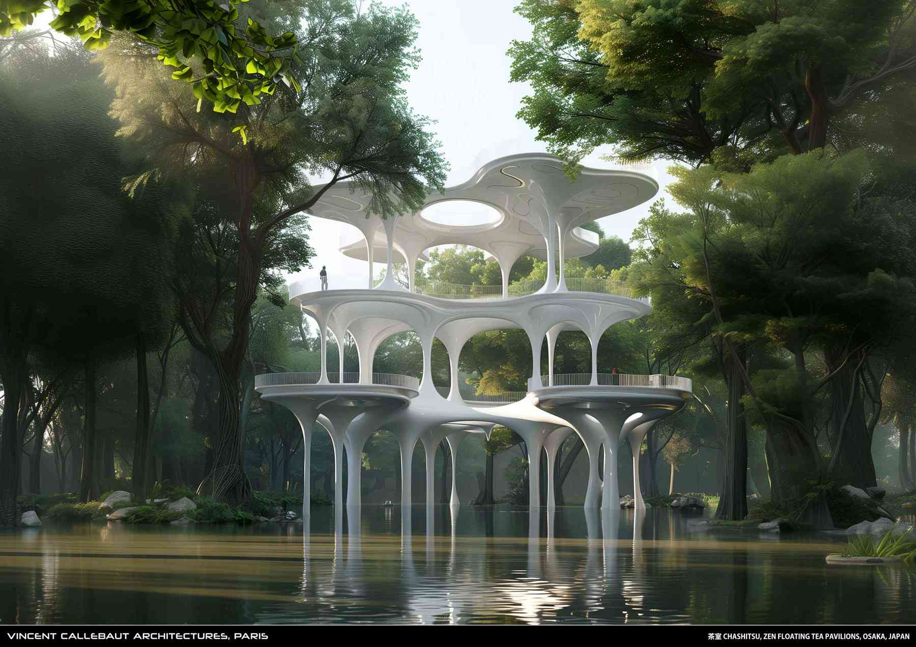 250126_chashitsu-chashitsu_pl013