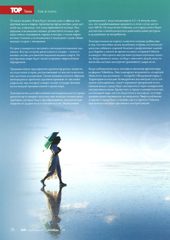 090110_toptema-toptema_pl03