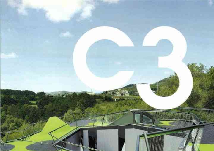 C3
