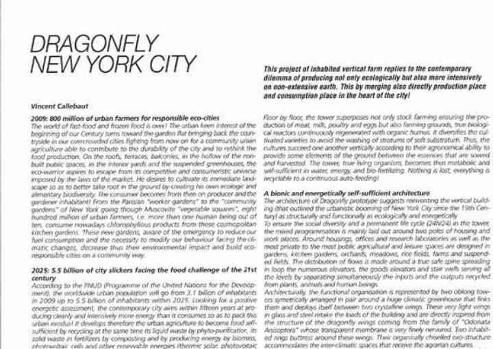 L'ARCA INTERNATIONAL 251 arca251_pl02