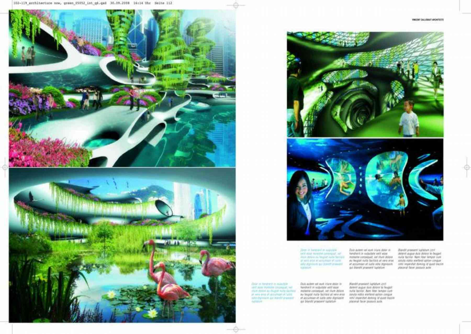 120630_green-green_pl008