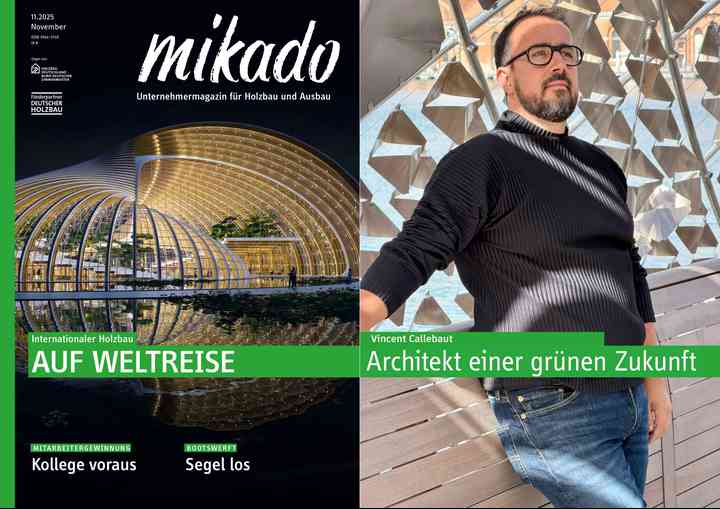 MIKADO, BUILDING NET mikado_pl001